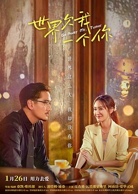 日本视频唯爱网海报剧照